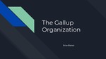 The Gallup Organization by Brian Blakely